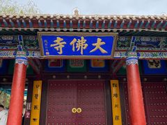 -张掖大佛寺景区
