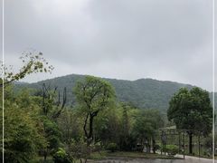 -兰亭风景区