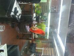 android_upload_pic-小左美发