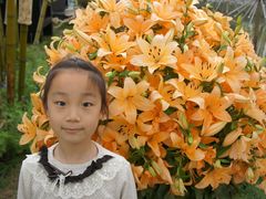 -上海鲜花港