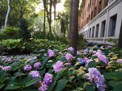 -同济大学(嘉定校区)