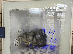 -熊小胖宠物生活馆(天华园店)