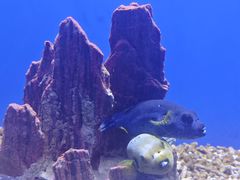 -石家庄市动物园