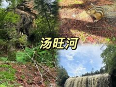 -汤旺河林海奇石景区