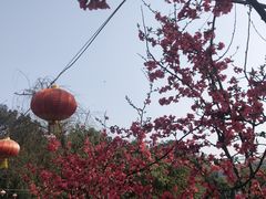 -陶然居·重庆菜(生态园店)