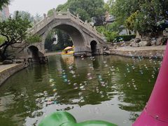 -团结湖公园