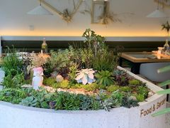 -春树下·树屋花房西餐厅(罍街AS1980店)