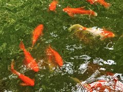 -东坡赤壁风景名胜区
