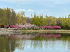-永定河休闲森林公园