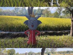 -长兴太湖图影湿地文化园