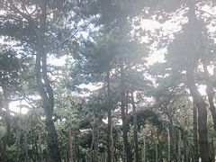 -长春市南湖公园