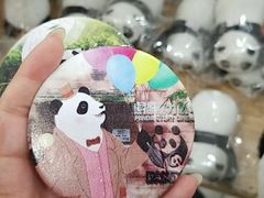 镜子-成都大熊猫繁育研究基地