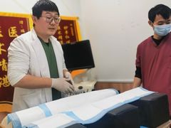 -瑞鹏宠物医院·内科·中兽医·骨科(苗圃店)