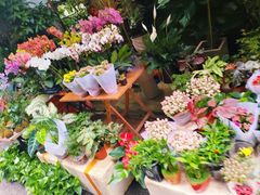 -循礼门鲜花花市(武汉循礼门店)