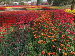 -国家植物园南园