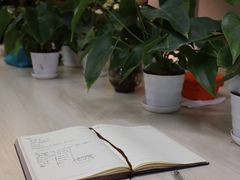 -引领英语·成人口语·雅思托福