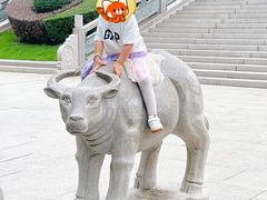 -仙岳公园
