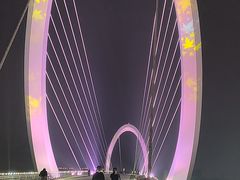 -南京眼步行桥