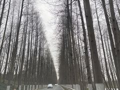 -南汇嘴观海公园