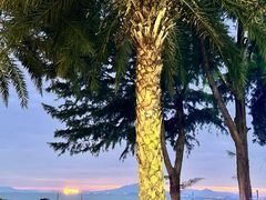 -惠州金海湾嘉华度假酒店