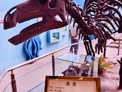 -陕西自然博物馆