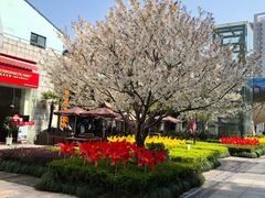 -证大大拇指广场(芳甸路店)