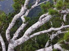 -少华山国家森林公园