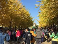 -辽宁大学(崇山校区)