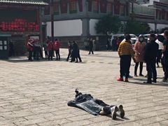 -塔尔寺游客服务中心