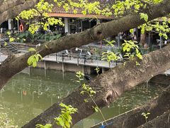 -喜洲吧·江畔老船厂·庭院餐厅(喜临院店)