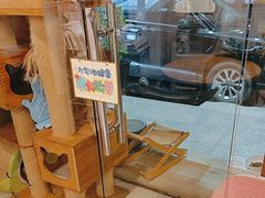 -哆趣宠物医院·眼科·内镜·急重症转诊中心(上海店)