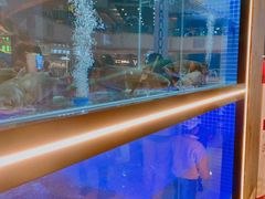 -川椒媚双椒烤鱼(鑫江东方城购物中心店)