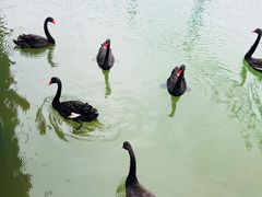 -蓬莱欧乐堡梦幻世界