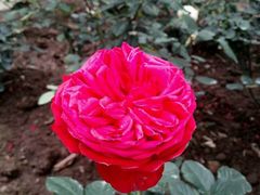 -人民公园(罗湖区)