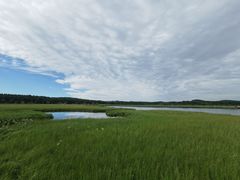 -塞罕坝国家级自然保护区