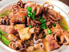 活八爪鱼炖红烧肉-赶海部落海鲜城(海阳路店)