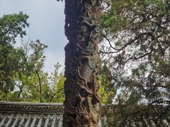 -建水文庙