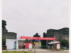 -秀丽东方