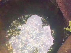 -蒋氏故居