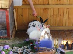 -HERRE·FARM 赫尔露营农场·团建聚会包场