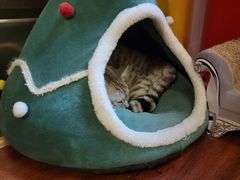 -H立方实景剧情密室(天河旗舰店)