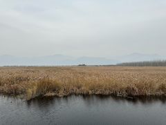 -野鸭湖国家湿地公园
