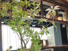 -滇铺子·云南特色菜·第九届野生菌美食节(曲靖万达店)