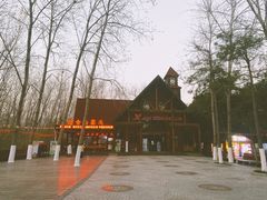 -合肥滨湖国家森林公园