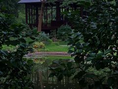 -深圳国际园林花卉博览园