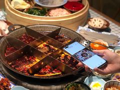 -董眼镜火锅(洪崖洞总店)