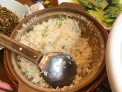 -饭怕鱼(阳光100店)