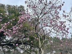 -杭州植物园