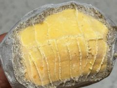 -柏尼娅PEARIA·蛋糕定制(静安店)