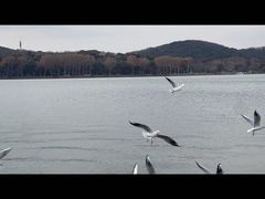 -水上明月·湖景餐厅